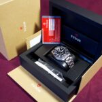 Tudor Pelagos — photo 12