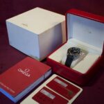 Omega Planet Ocean 42mm — photo 12