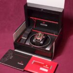 Tudor Black Bay — photo 12