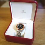 Omega Planet Ocean 42mm Ref-2290.5000 — photo 11