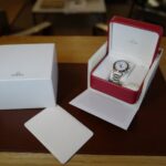 Omega Seamaster Aqua Terra GMT 44mm — photo 11