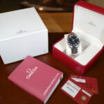 Omega Seamaster Aqua Terra 41.5mm 231.10.42.21.03.003 — photo 12